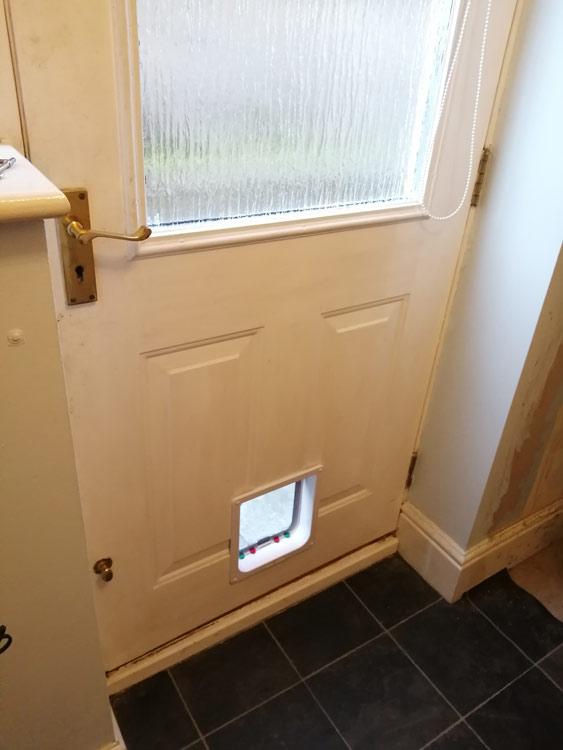 Cat flap fitters Cramlington