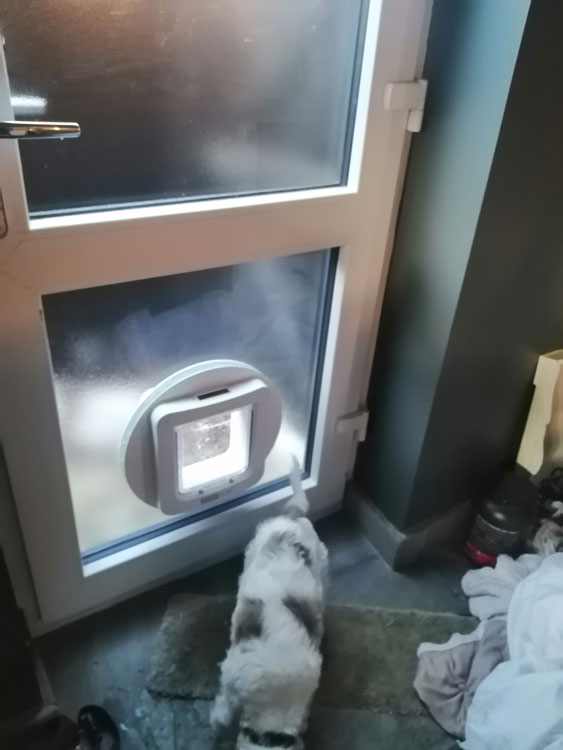 Cat flap fitters Darlington