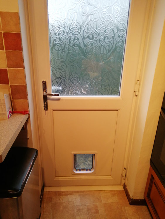 Cat flap fitters Durham