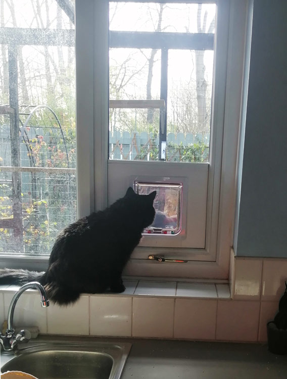 cat flap fitters Durham