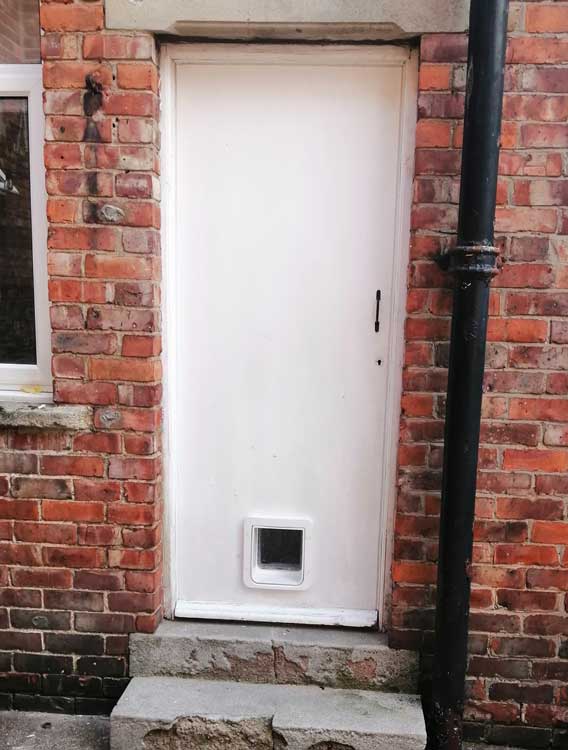 Cat flap fitters Heaton