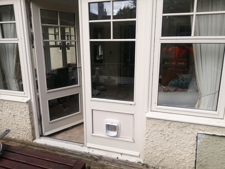 Cat flap fitters Hexham