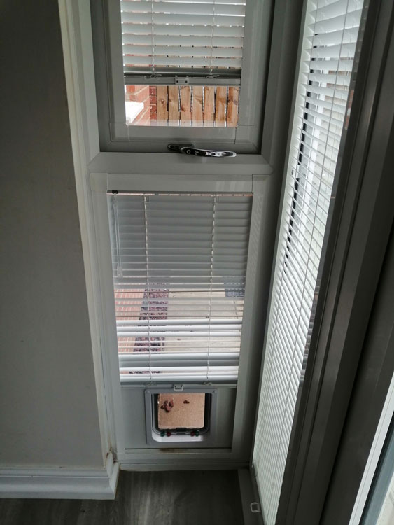 Cat flap fitters Morpeth