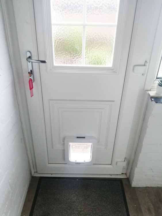 Cat flap fitters Morpeth
