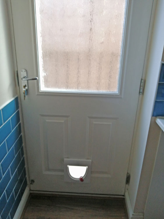 Cat flap fitters near me