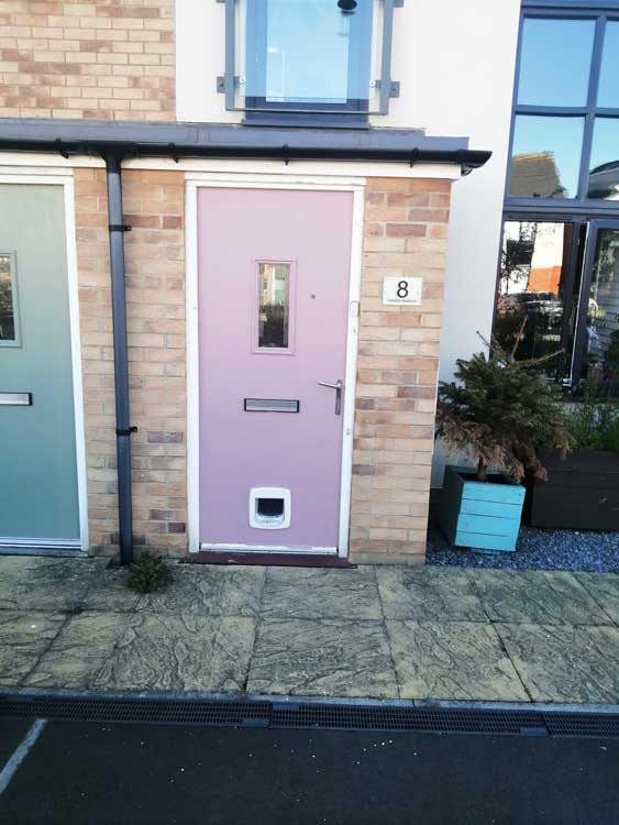Cat flap fitters near me