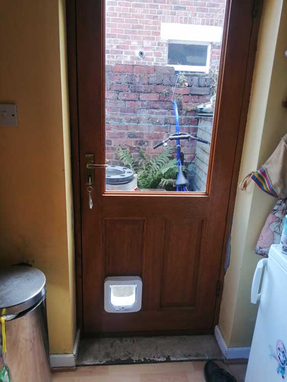 Cat flap fitters near me
