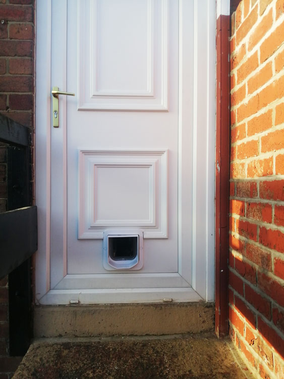 Cat flap fitters near me