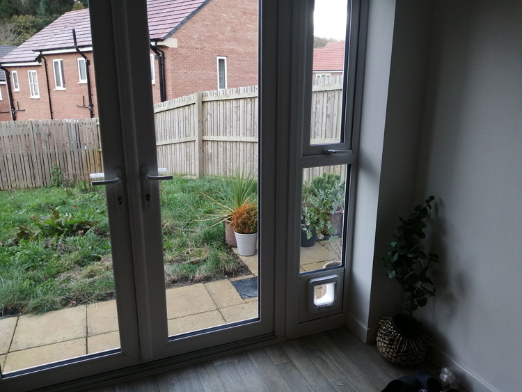 Cat flap fitters Prudhoe