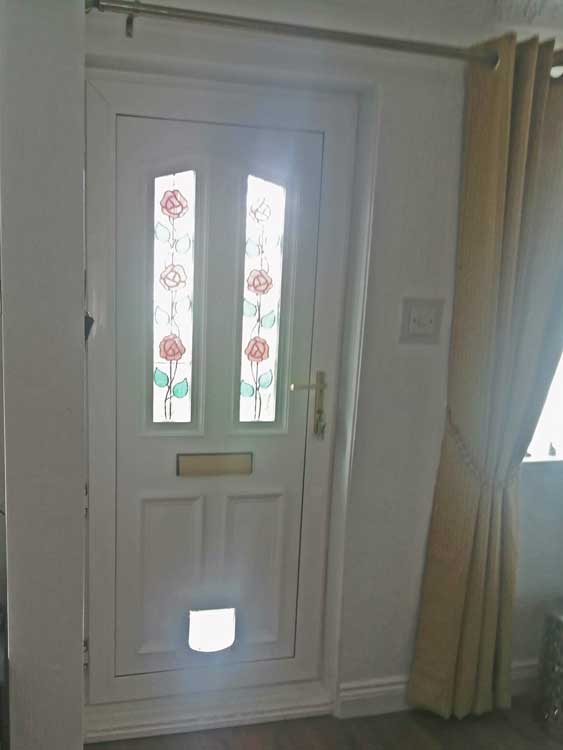 Cat flap fitters South Shields