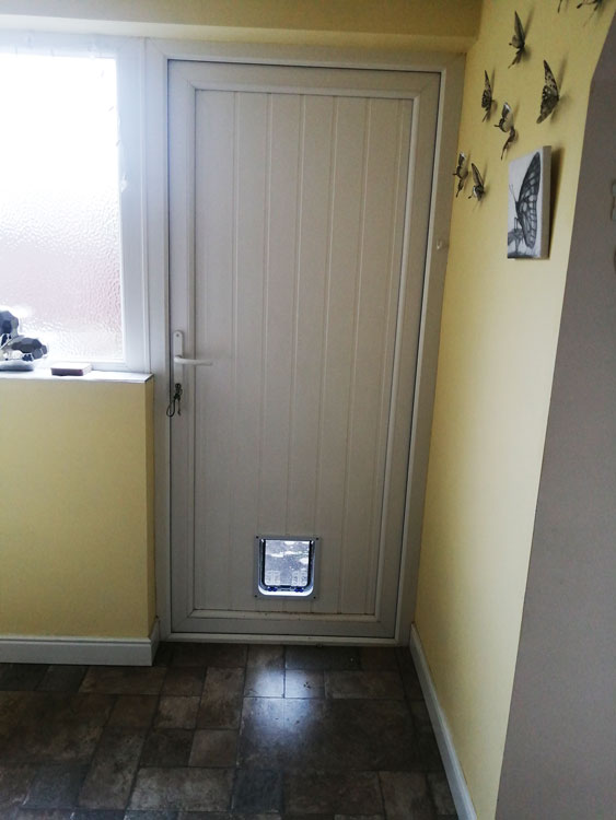 Cat flap fitters Whickham