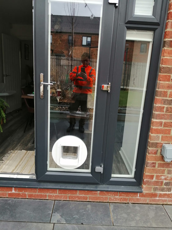 Cat flap fitters York