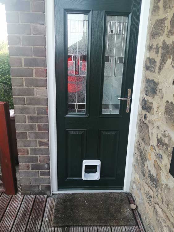 Cat flap fitters York