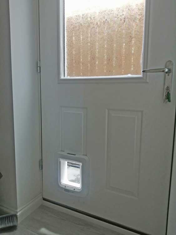Cat flap fitters York