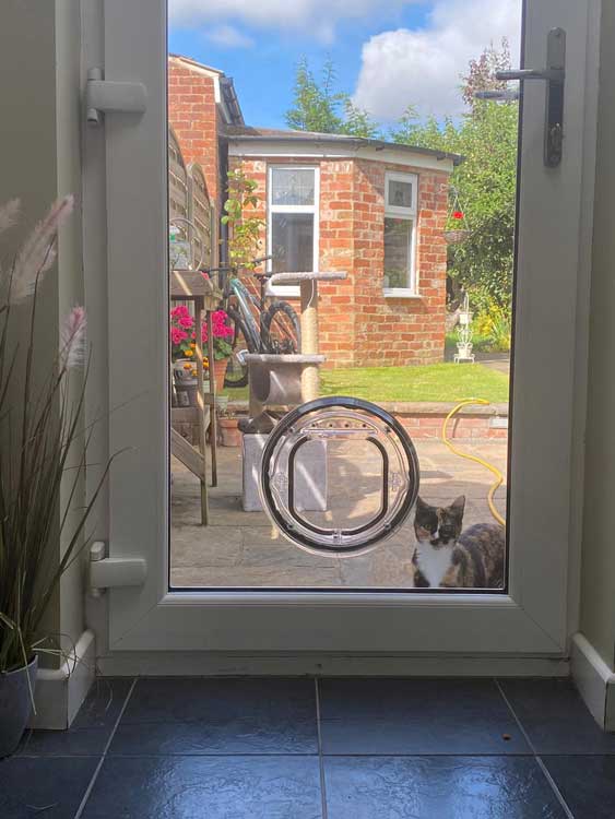 Cat flap fitters York