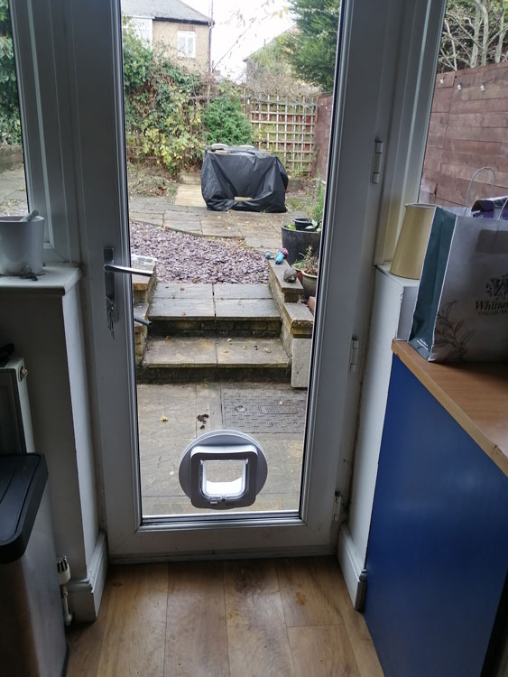 Cat flap installation near me