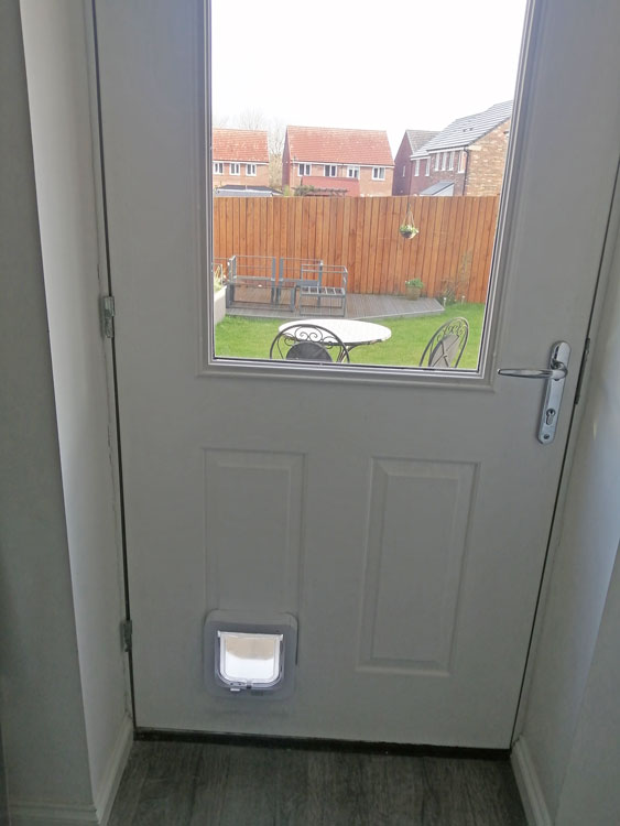 Cat flap installations near me