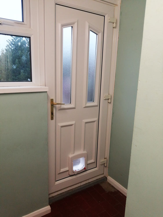Cat flap installations near me