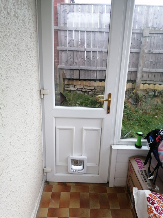 Cat flap installers near me
