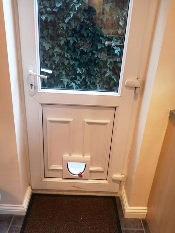 Cat flap installers near me