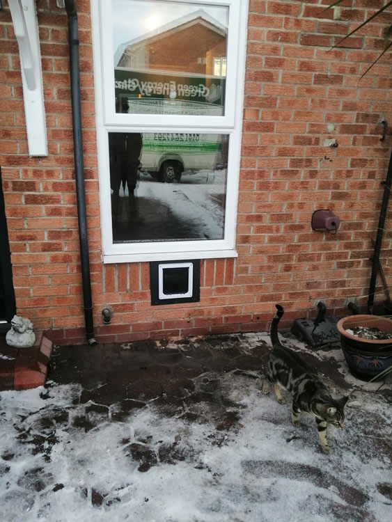 Cat flap tunnels near me