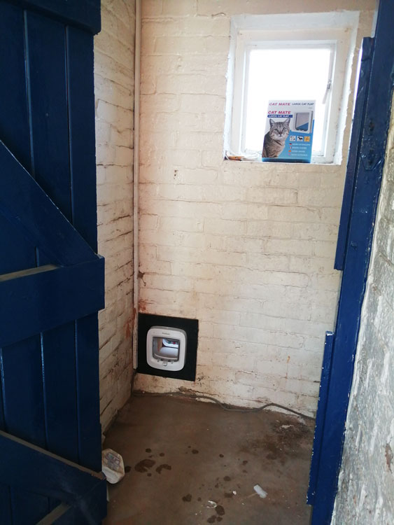 Cat flap tunnels through the wall