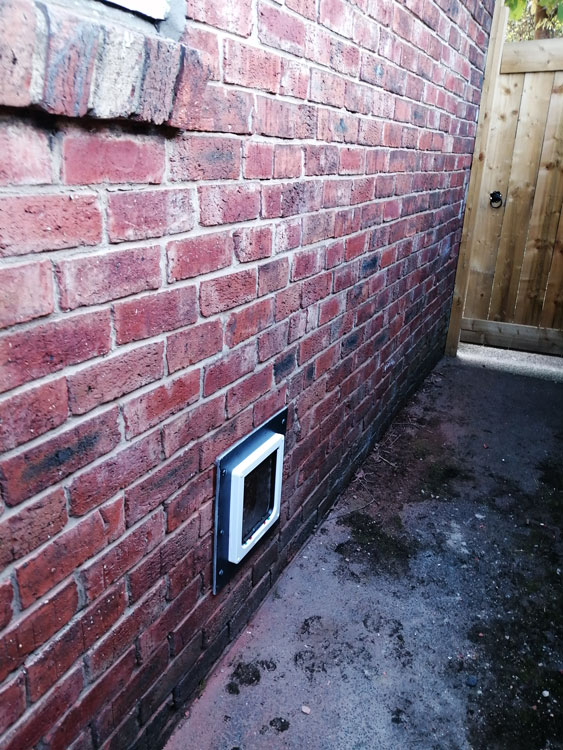 Cat flap tunnels through the wall