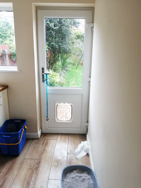 Cat flap fitters Gilesgate