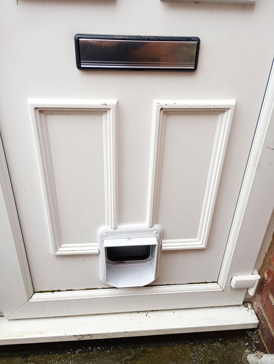 Cat flap fitters Gateshead