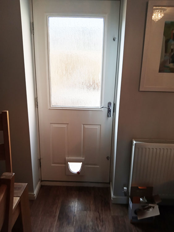 Cat flap fitters Morpeth