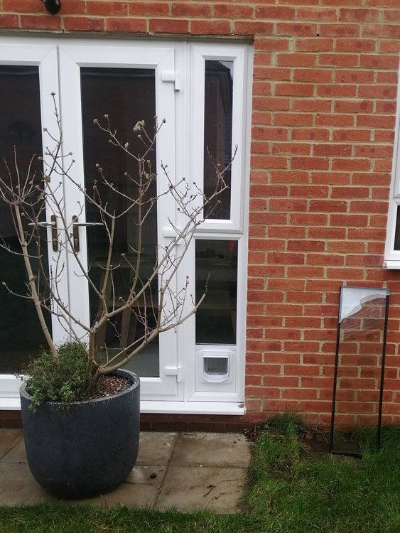 Cat flap fitters near me