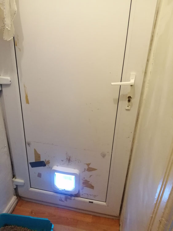 Cat flap fitters near me