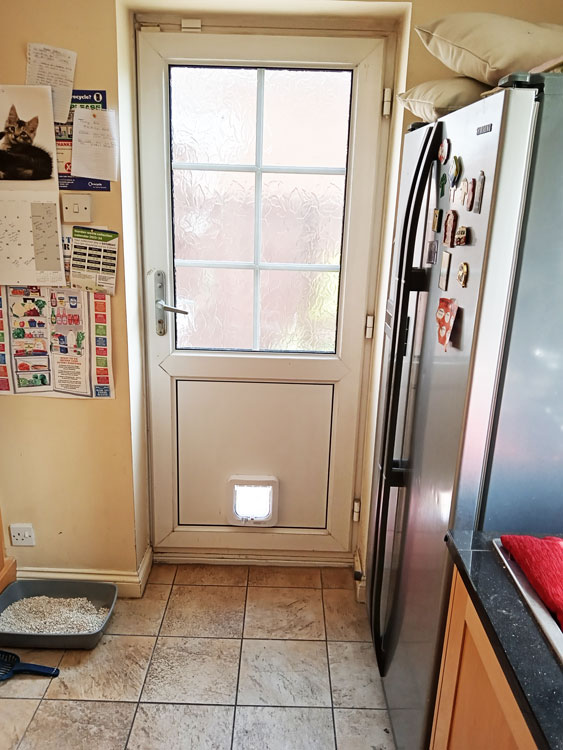Cat flap installation near me