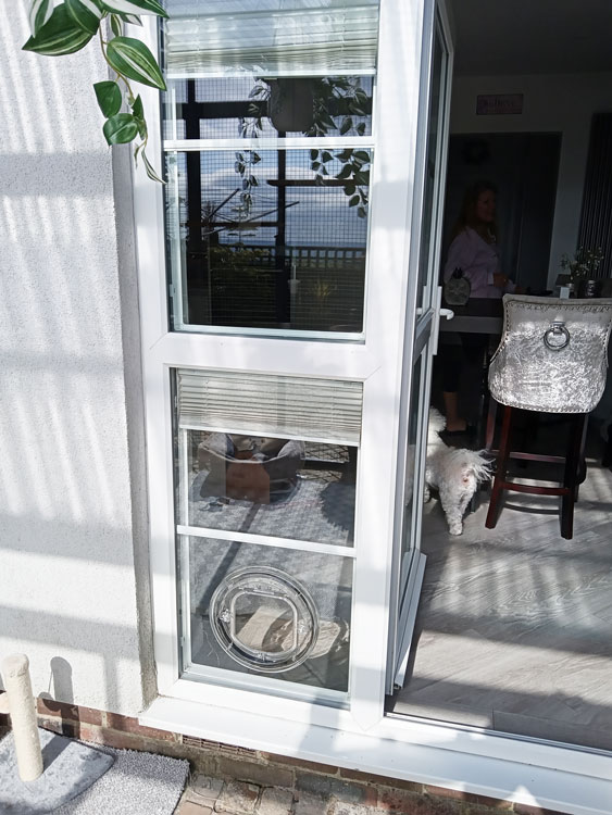 Cat flap installed in glass