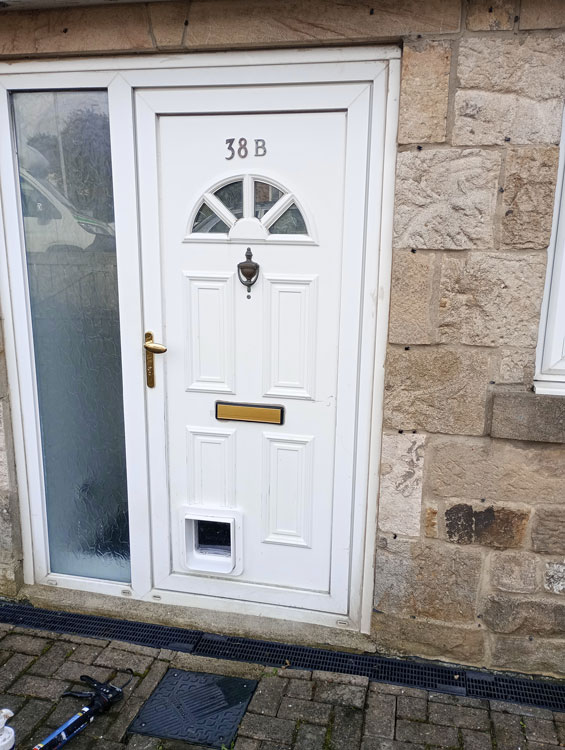 Cat flap installers Annfield Plain