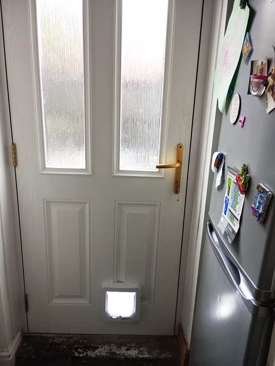 Cat flap fitters Benwell
