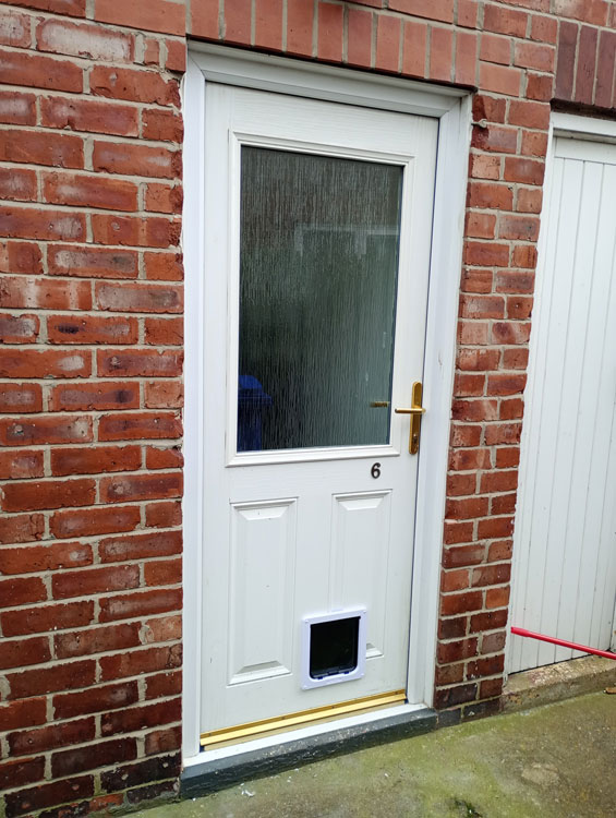 Cat flap installers Blyth