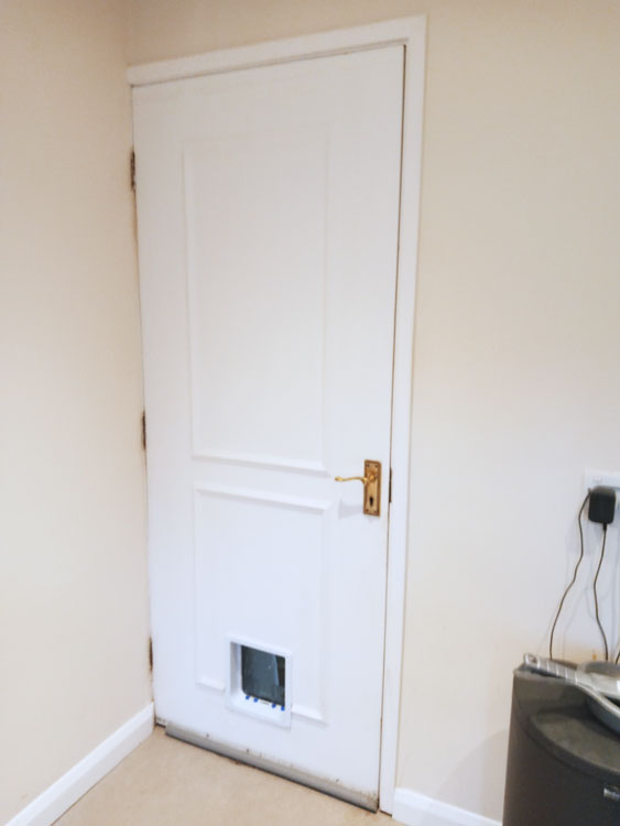 Cat flap installers near me