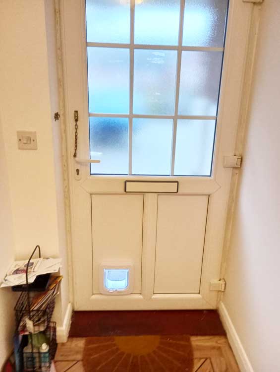 Cat flap kings and doggies 2