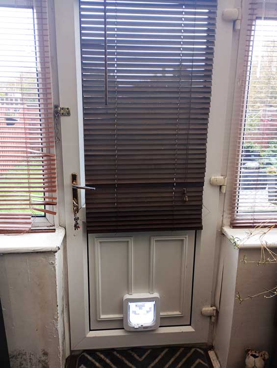 Cat flap kings and doggies 2