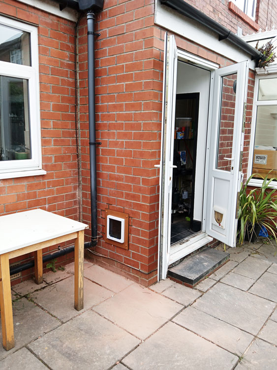 Cat flap tunnels installed in walls near me