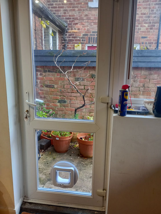 Cat flaps installed in energy efficient glass