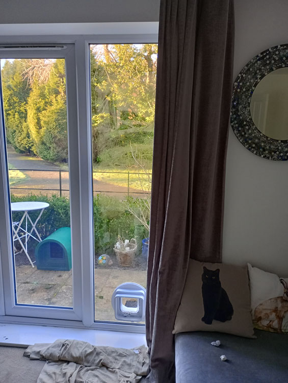 Cat flaps installed in energy efficient glass