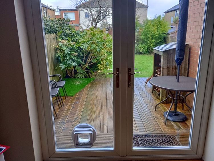 Cat flaps installed in glass