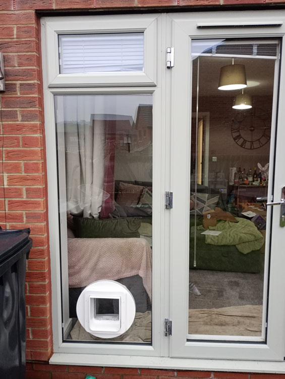 Cat flaps installed in glass