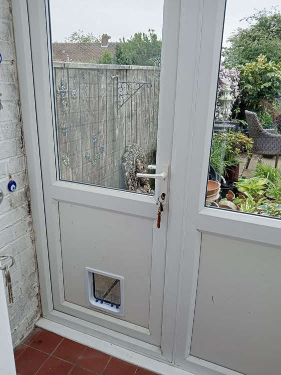 Large cat flaps near me