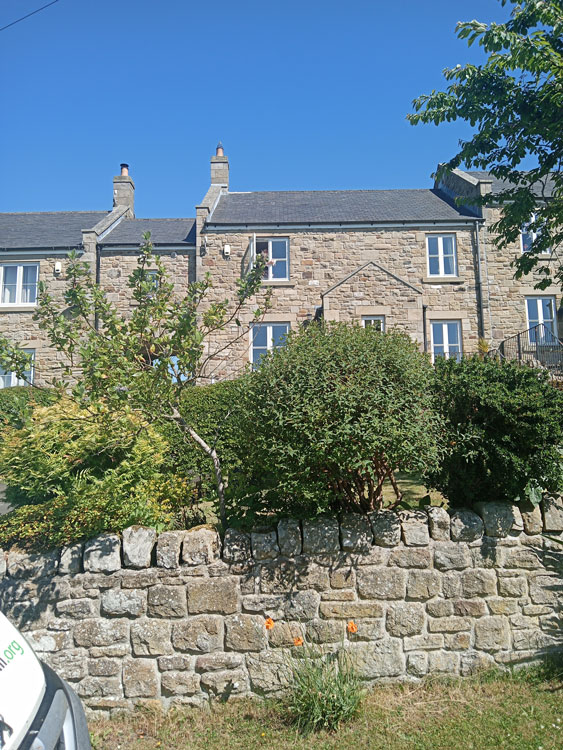 Glass replacements near me