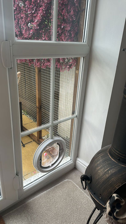 Cat flap fitters County Durham