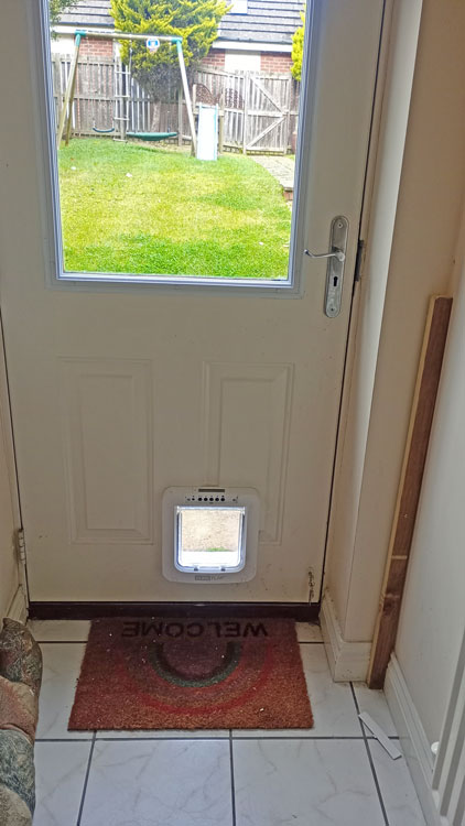 Cat flap fitters Gosforth