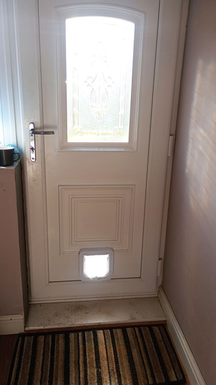 Cat flap fitters Whitley Bay